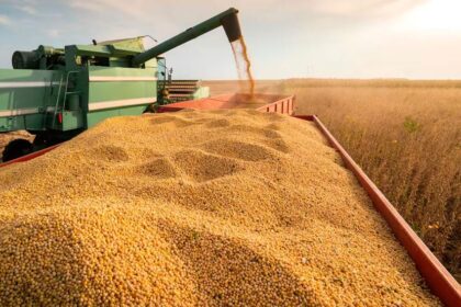 Granos en Chicago muestran suba de la soja por petróleo