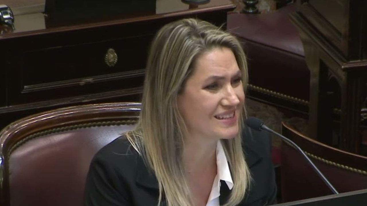 Sesión en el Senado de la Nación donde se debate el proyecto de ley de denuncias falsas y reformas al Código Penal