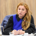 Diputada Karina Banfi en el Congreso debatiendo el proyecto de Ficha Limpia