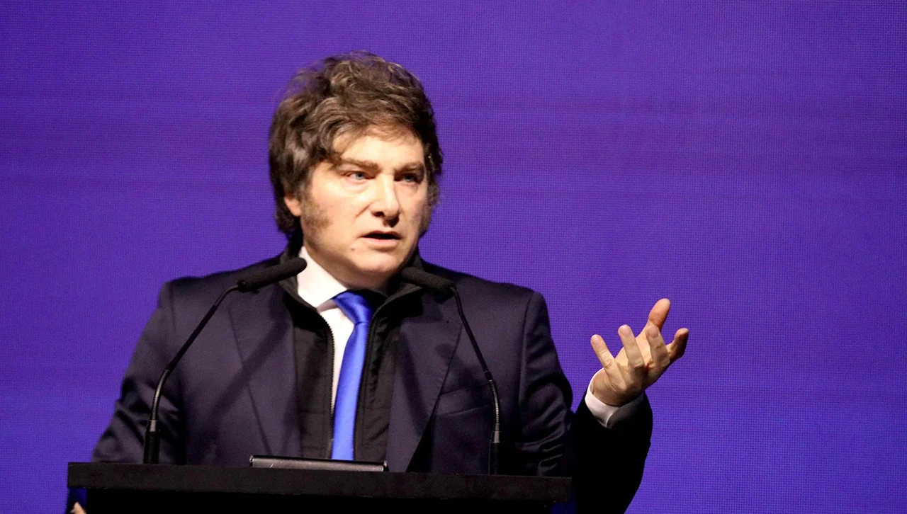 Gráfico político que muestra cómo la imagen de Javier Milei sufre una baja en Mendoza