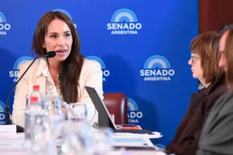Tensión en el Senado tras la orden del Poder Ejecutivo de retirar el pliego de María Verónica Michelli para un tribunal federal