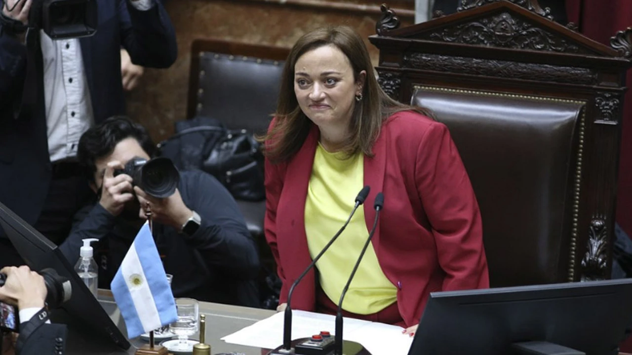 Cecilia Moreau en el Congreso manifestando sus objeciones a la reforma de la Ley de Tierras