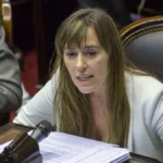 Juliana Di Tullio habla sobre las tierras durante una entrevista previa al debate en el Senado