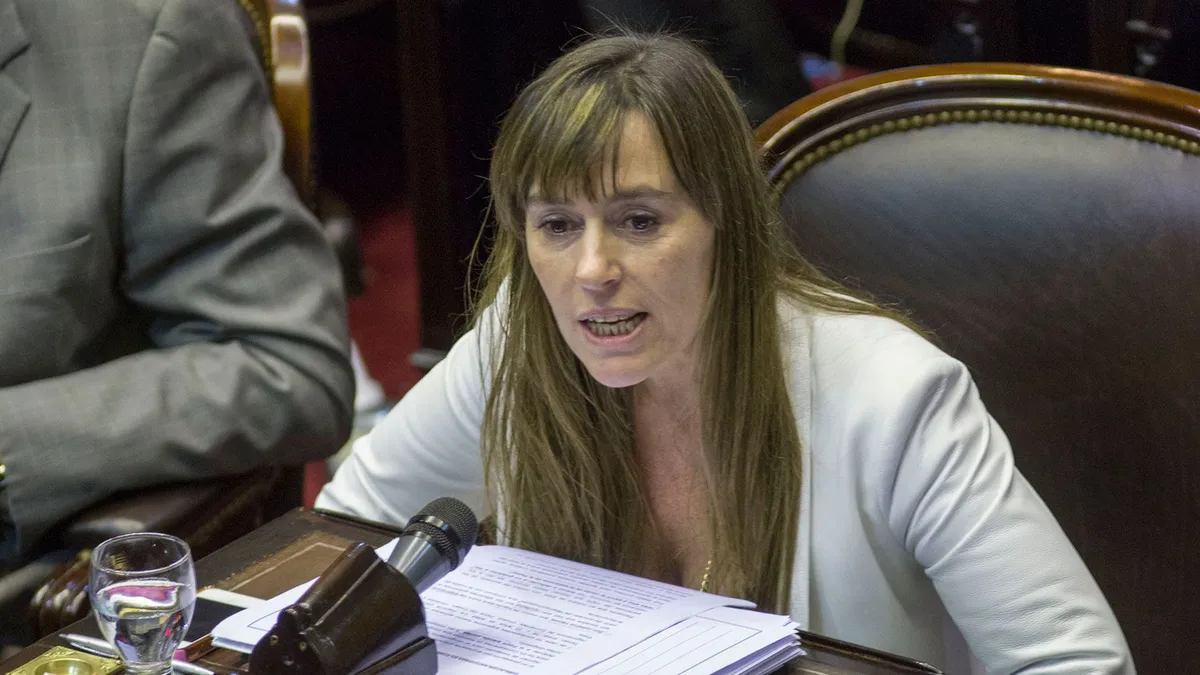 Juliana Di Tullio habla sobre las tierras durante una entrevista previa al debate en el Senado