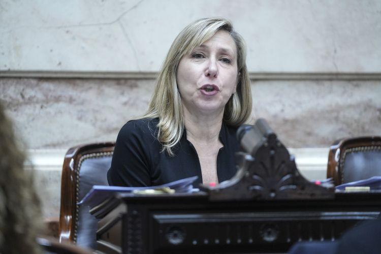 Myriam Bregman durante sus críticas a Milei por la ley de tierras