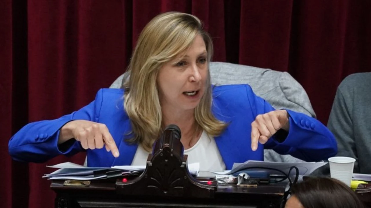 Cruce entre Bregman y Bornoroni durante la sesión de Diputados por la reforma del Banco Central