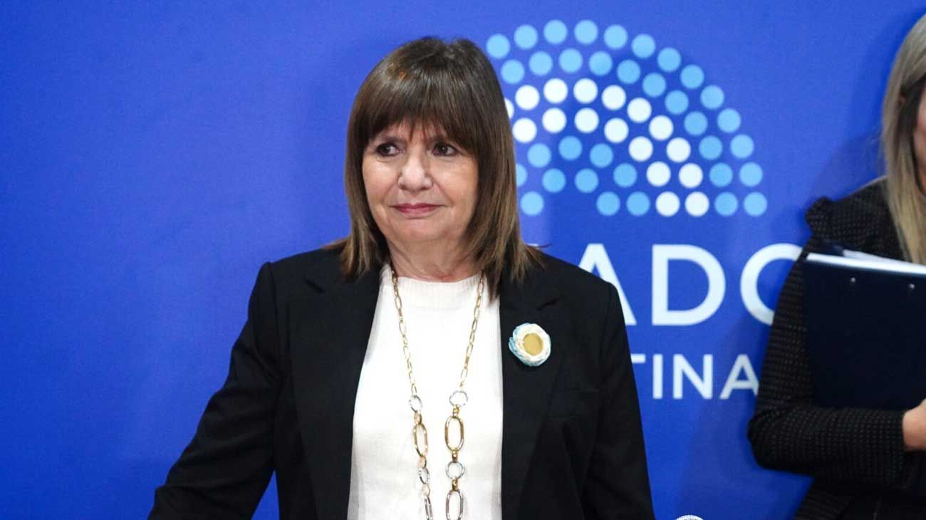 Patricia Bullrich durante el debate de la reforma electoral en el Senado